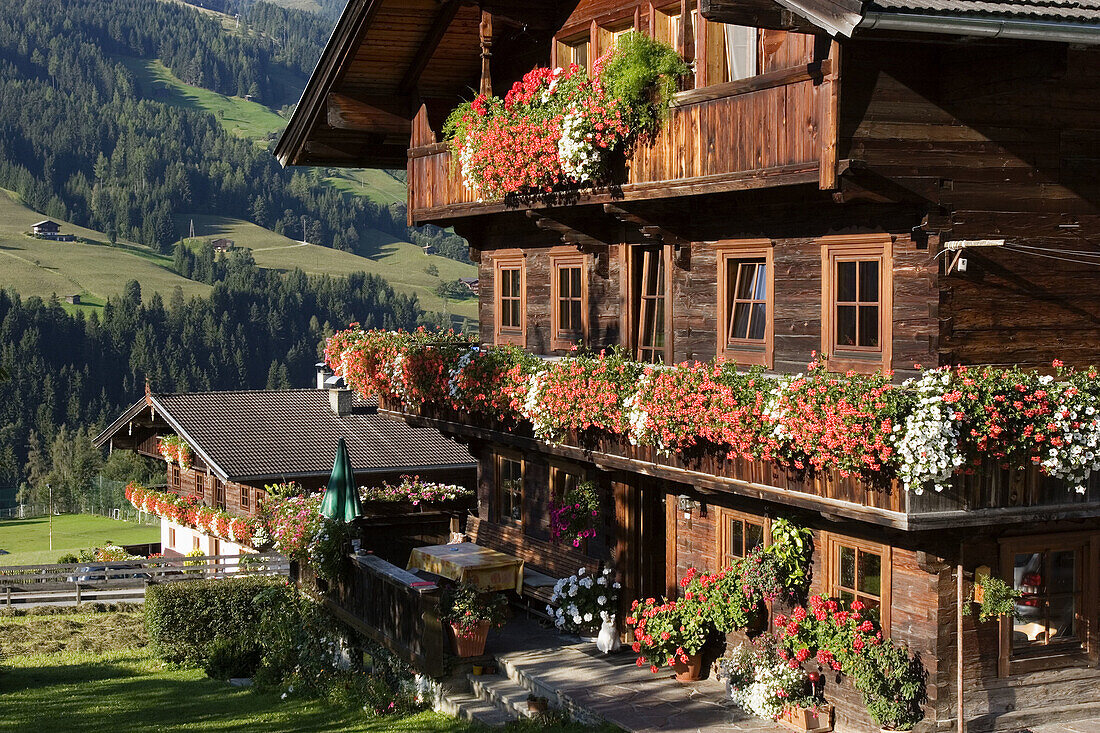 Alpbach. Tyrol. Austria