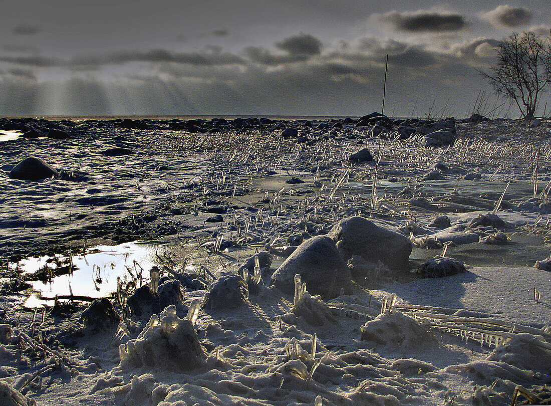  Außen, Eis, Eiskalt, Farbe, Gefroren, Horizont, Horizonte, Kalt, Kälte, Landschaft, Landschaften, Natur, Pflanze, Pflanzen, Schnee, Sonnig, Wasser, Weiß, Winter, J20-475384, agefotostock 