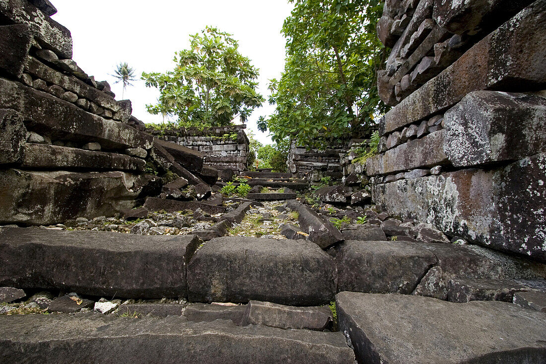 Ruins of Nan Madol with grave of the king, Pohnpei, Micronesia, Oceania