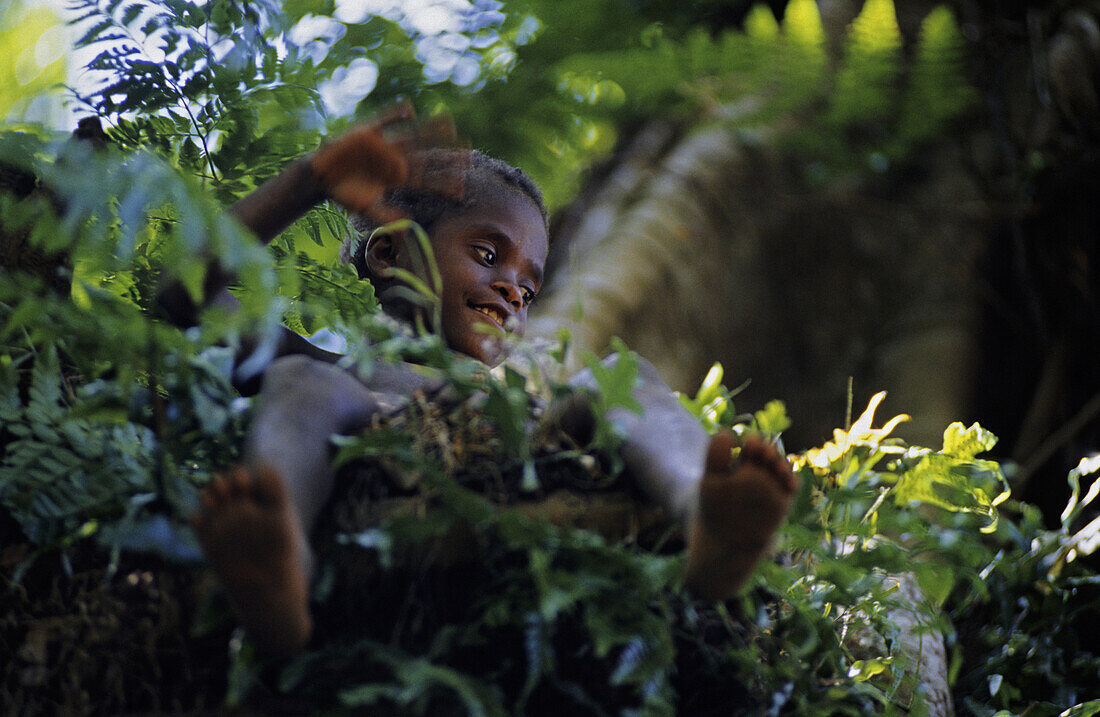 Boy sitting on Banyan tree waving, Yakel, Tanna, Vanuatu, South Pacific, Oceania