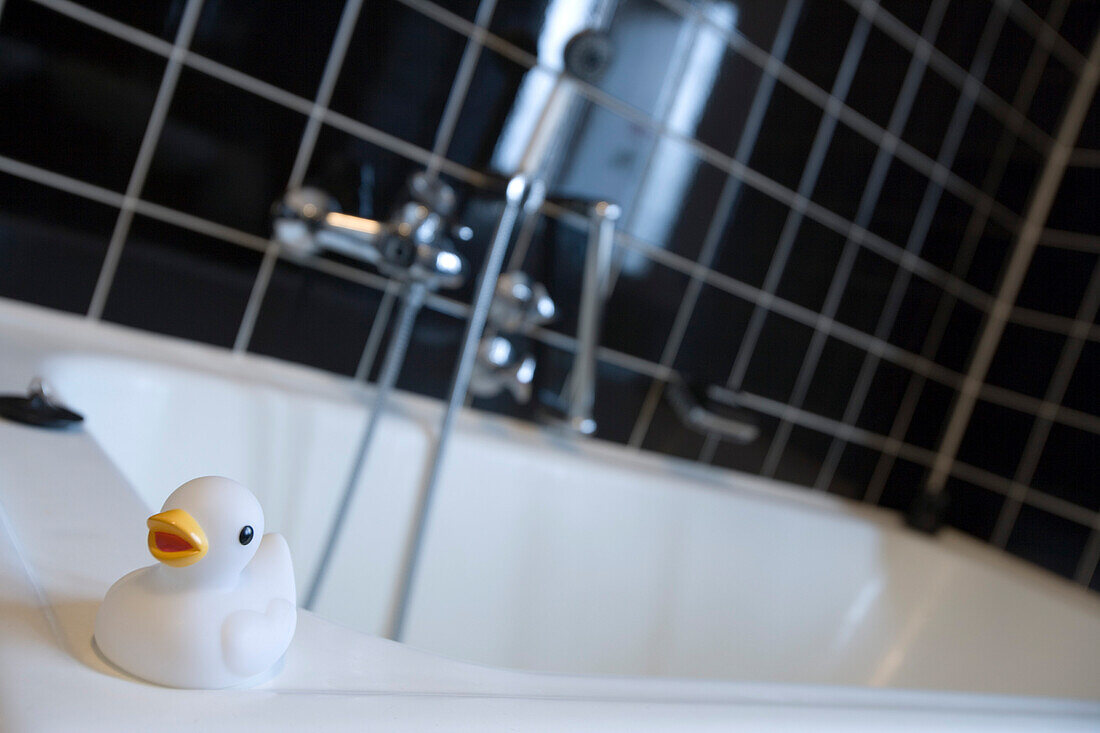 White rubber duck on the edge of a bath, Hotel am Berg, Frankfurt, Hesse, Germany