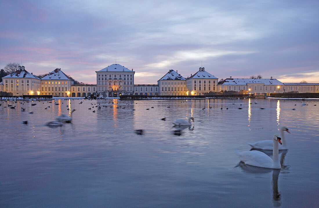 View over swan lake at Nymphenburg Castle in the evening, Munich, Bavaria, Germany