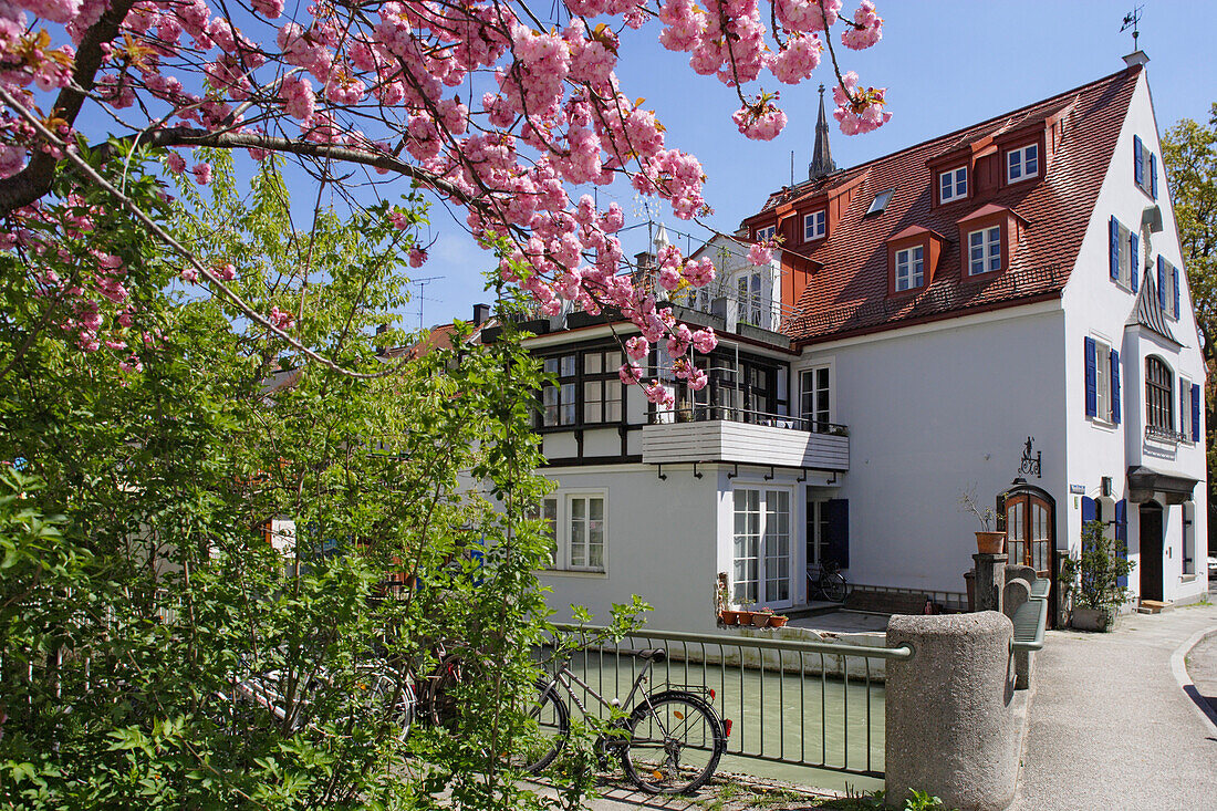 Guesthouse in the sunlight in spring, Mondstraße, Untergiesing, Munich, Bavaria, Germany