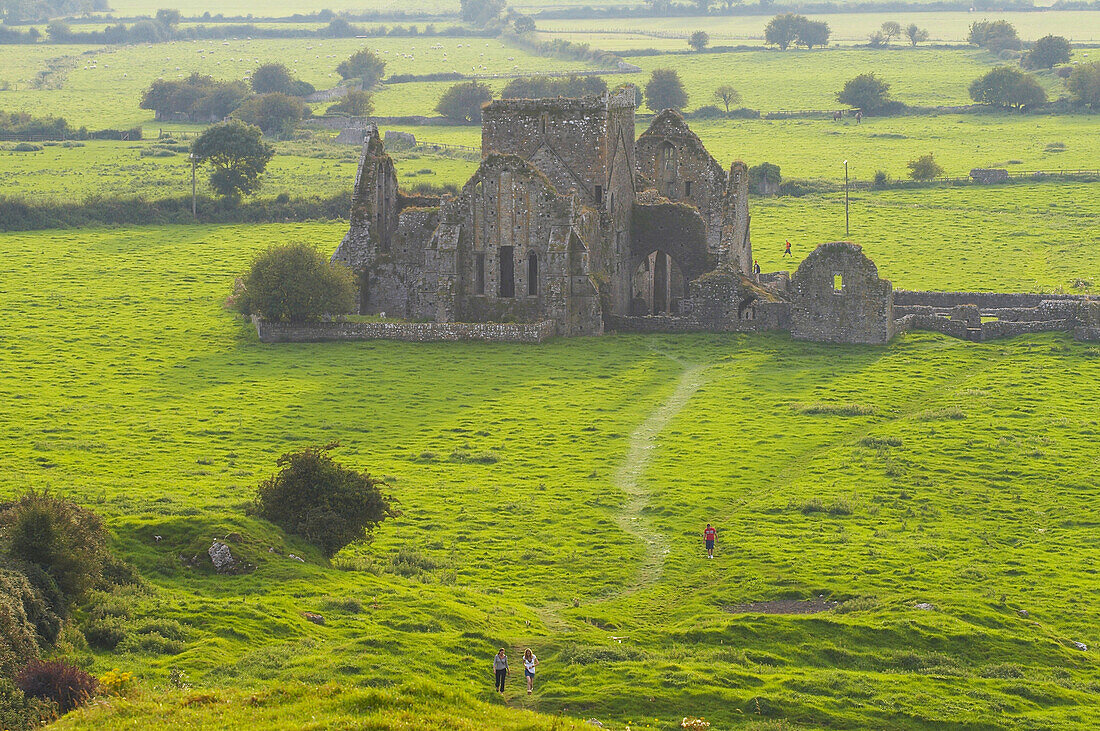 Außenaufnahme, Sommer, Hore Abbey, Cashel, County Tipperary, Irland, Europa