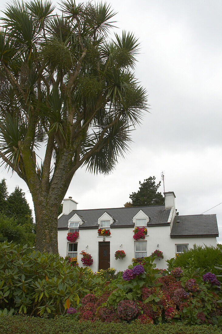 Außenaufnahme, Haus mit Blumen, Glengariff, Ring of Beara, County Cork, Irland, Europa