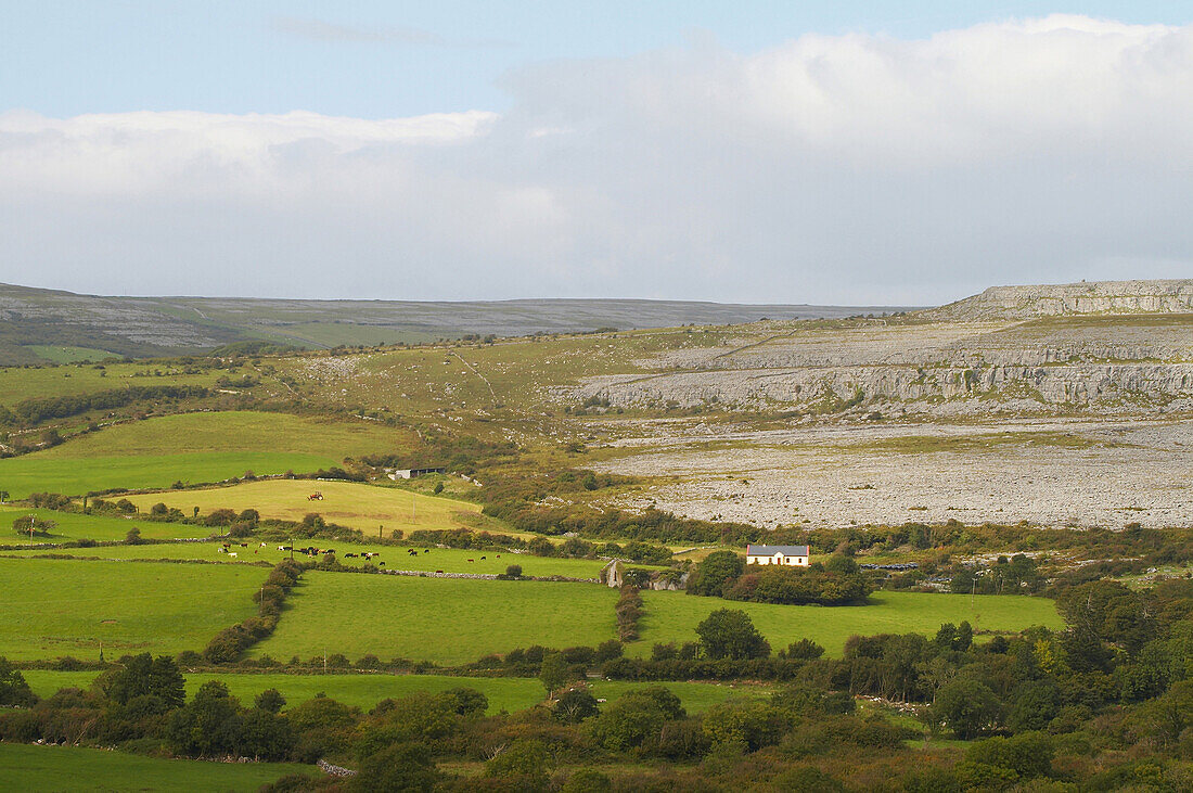 Außenaufnahme, Sommer, The Burren bei Ballyvaughan, County Clare, Irland, Europa