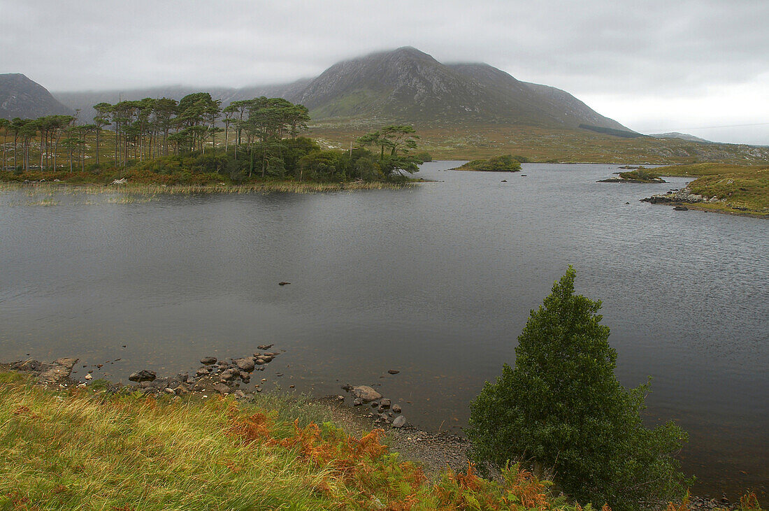 outdoor photo, Derryclare Lough, Connemara National Park,  County Galway, Ireland, Europe