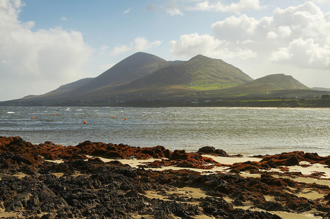 outdoor photo, view from Old Head (near Louisburgh) to Croagh Patrick , County Mayo, Ireland, Europe