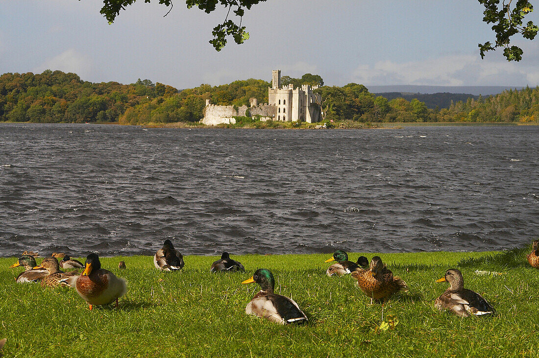 outdoor photo, view from Lough Key Forest Park on Lough Key and Island with ruin , County Roscommon, Ireland, Europe