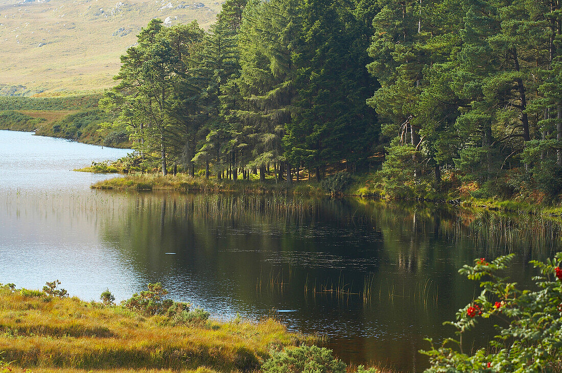 Außenaufnahme, Glenveagh National Park, Lough Beagh, County Donegal, Irland, Europa