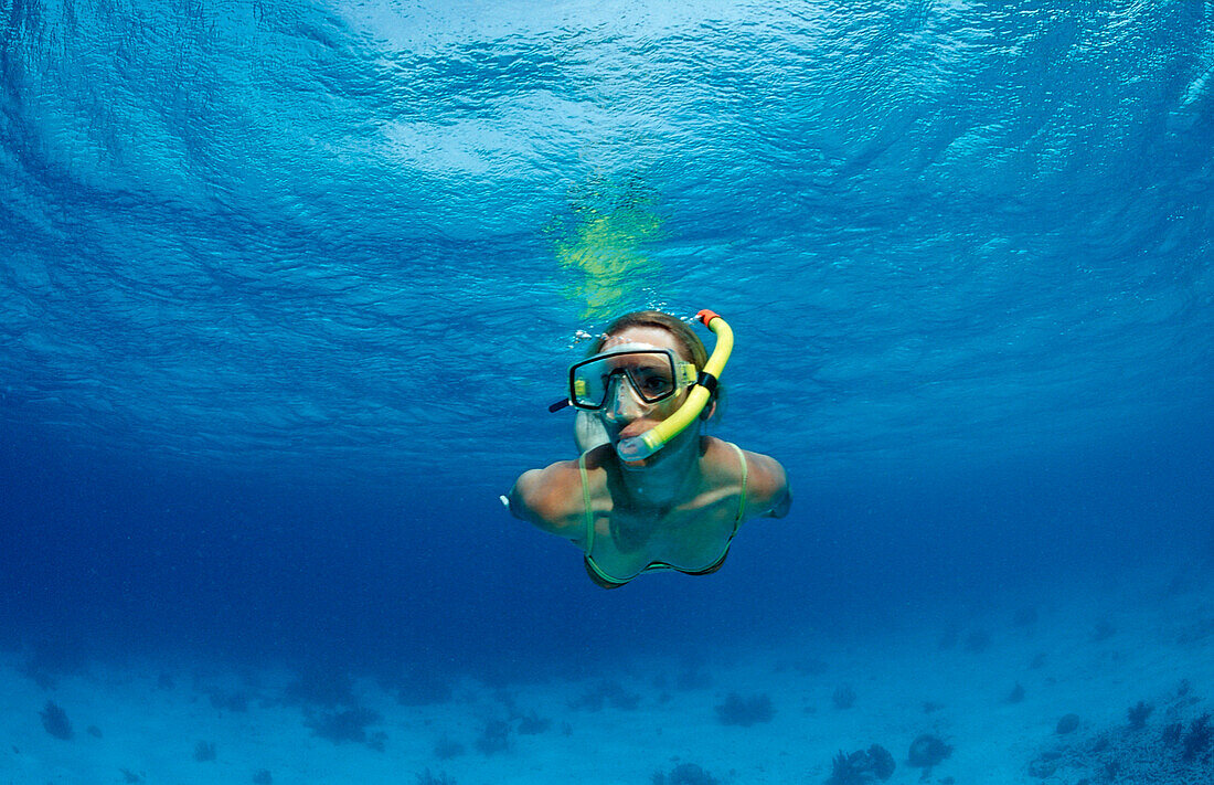 Schnorcheln, Niederlaendische Antillen, Bonaire, Karibik, Karibisches Meer