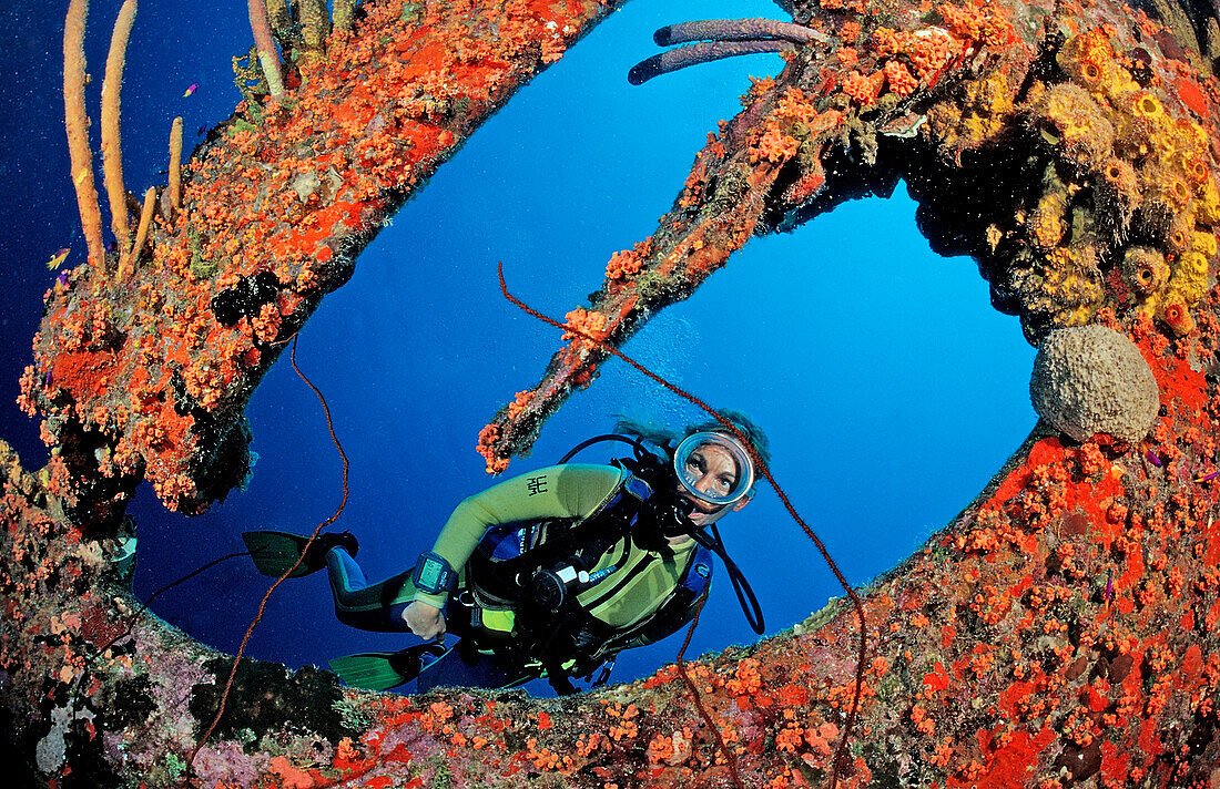 Taucher am Hilma Hooker Schiffswrack, Niederlaendische Antillen, Bonaire, Karibik, Karibisches Meer