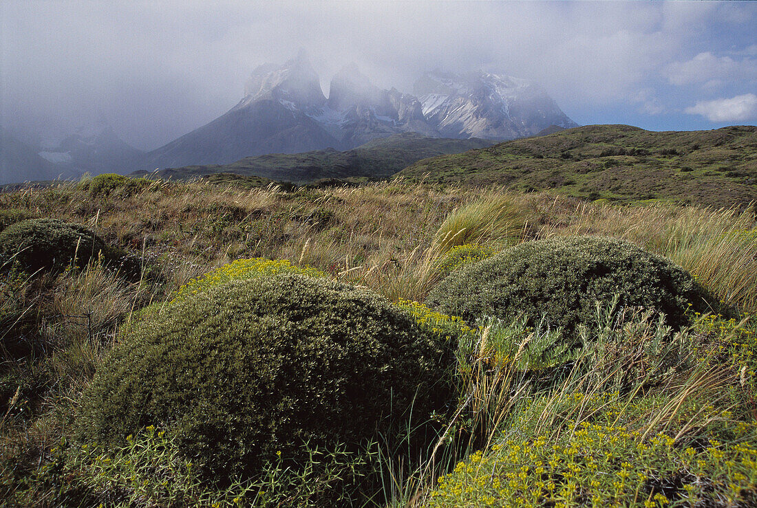 Torres del Paine National Park. Chile