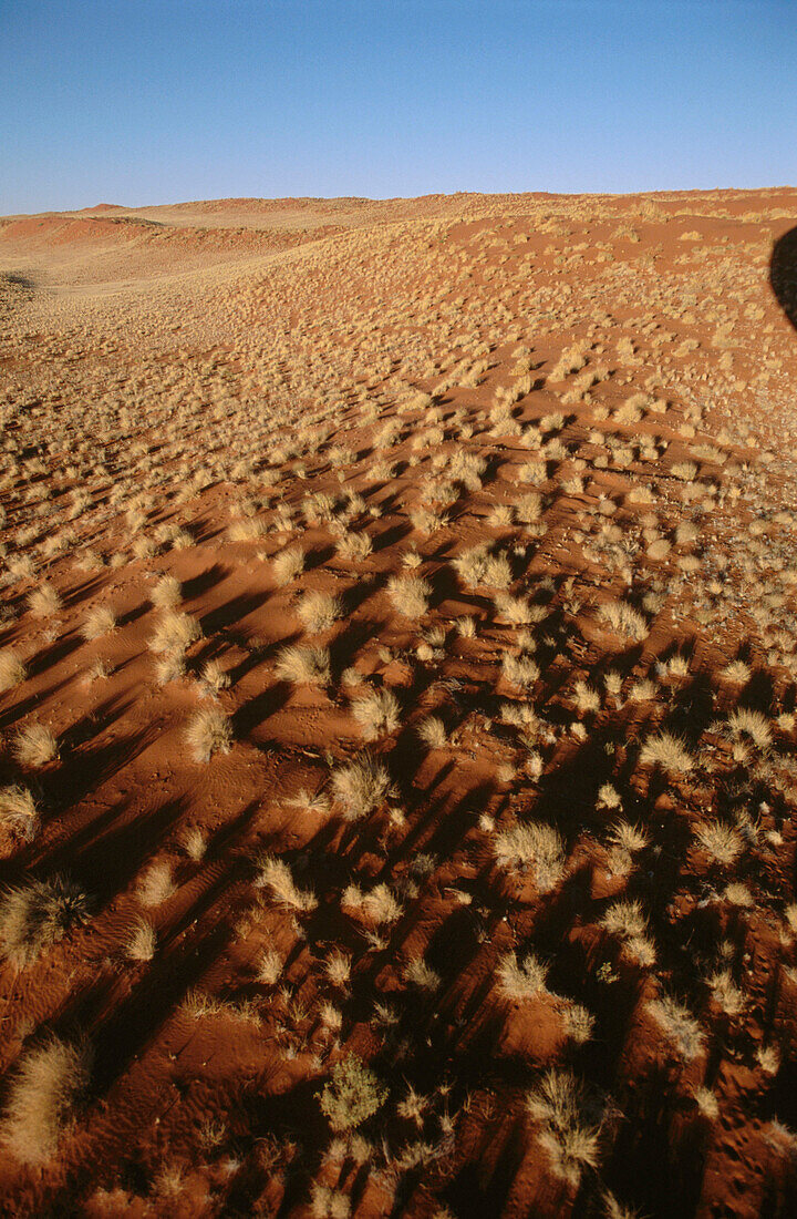 Namib Rand Nature Reserve in Namibia