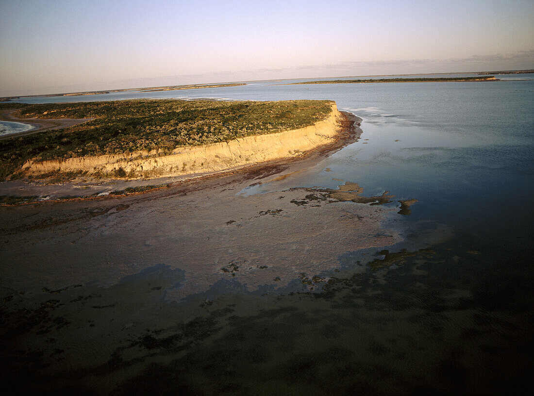 Laguna Madre. Tamaulipas. Mexico.