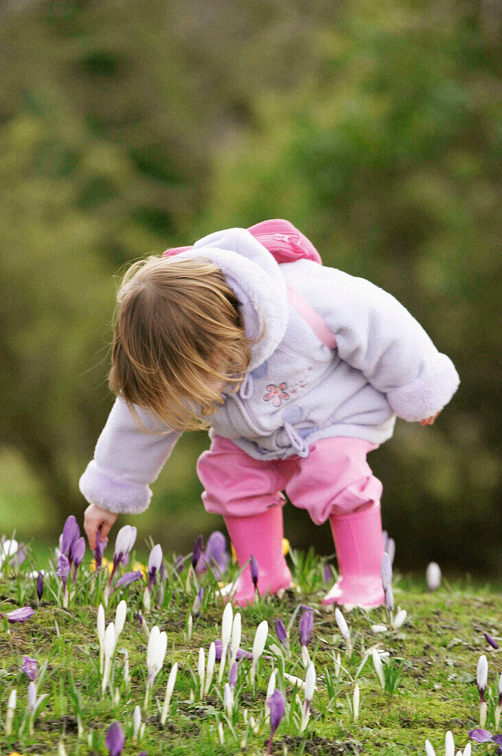  Children, Color, Colour, Contemporary, Country, Countryside, Crocus, Crouch, Crouching, Curiosity, Curious, Daytime, Exterior, Female, Flower, Flowers, Full-body, Full-length, Garden, Girl, Girls, H