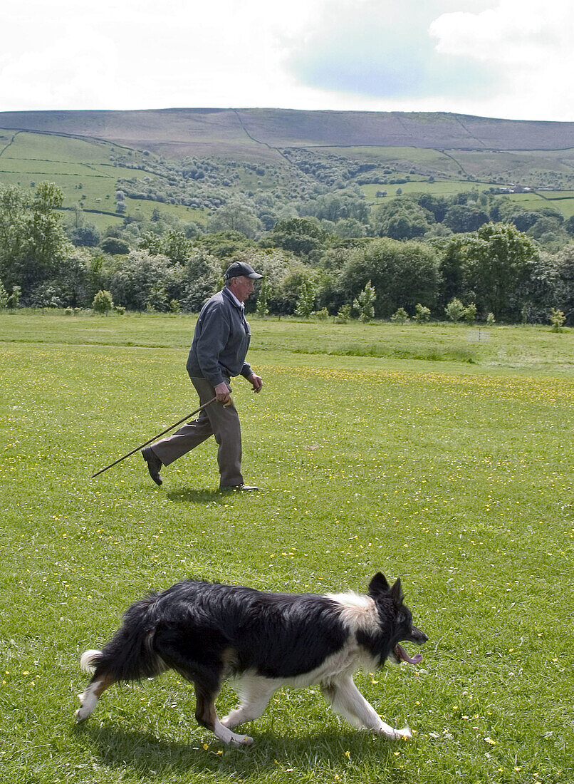 Shepherd and dog