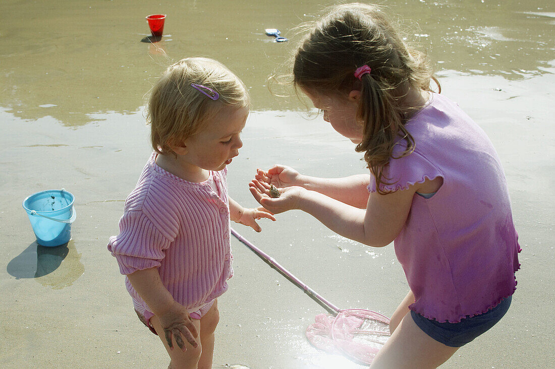 3 year old girl and 18 month old baby girl, on the beach looking at a crab that they ve found.