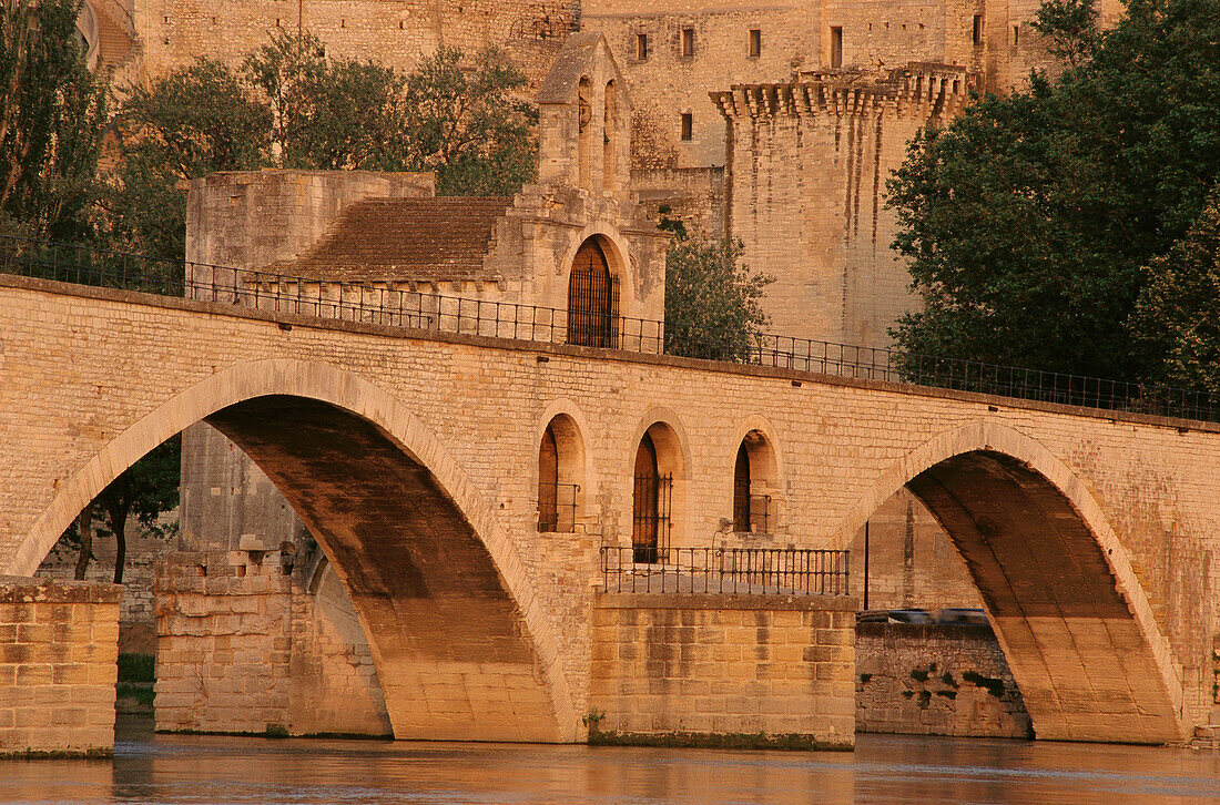 Saint-Bénézet bridge. Avignon. France