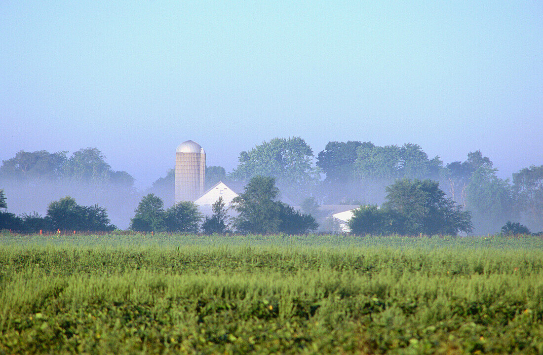 Agriculture field and farm building in the distance. Harvard. Illinois. USA