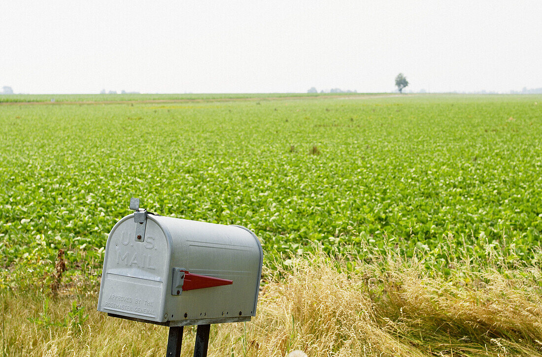 Gray mailbox near soybean field, flat prairie land. Arthur. Illinois, USA