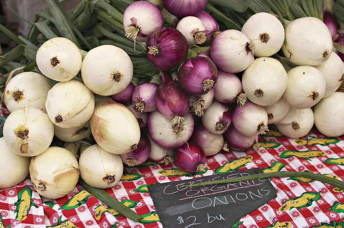 VEGETABLES. Chicago, Illinois. Bunches of red and white organically grown onions displayed on red checked cloth at farmers market, sign with price, Lincoln Park