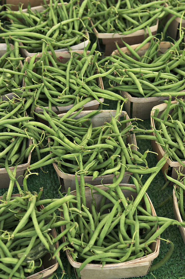 VEGETABLES. Chicago, Illinois. Baskets of string green beans, organically grown produce displayed at green farmers market in Lincoln Park