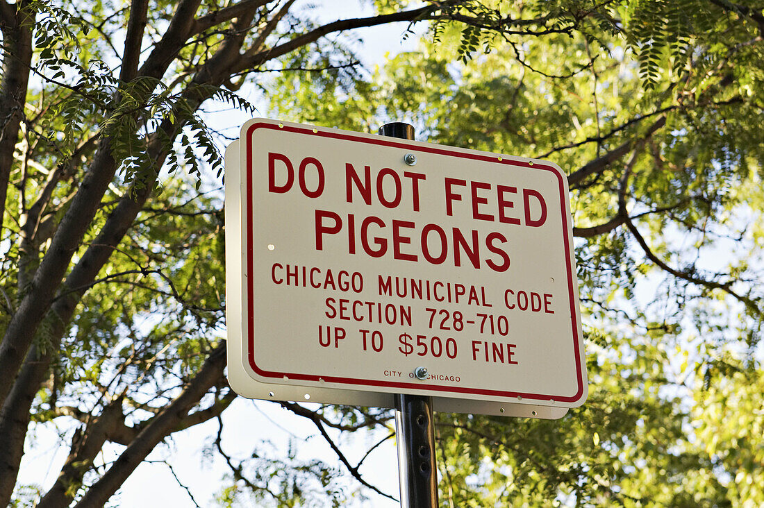 Illinois. Chicago. Do Not Feed Pigeons sign in park, city ordinance citation, Bucktown neighborhood on near west side of city, Wicker Park