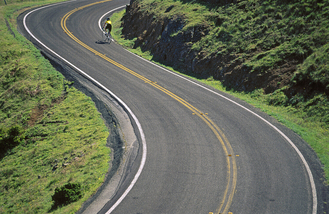 Country road. Marin County, California. USA.