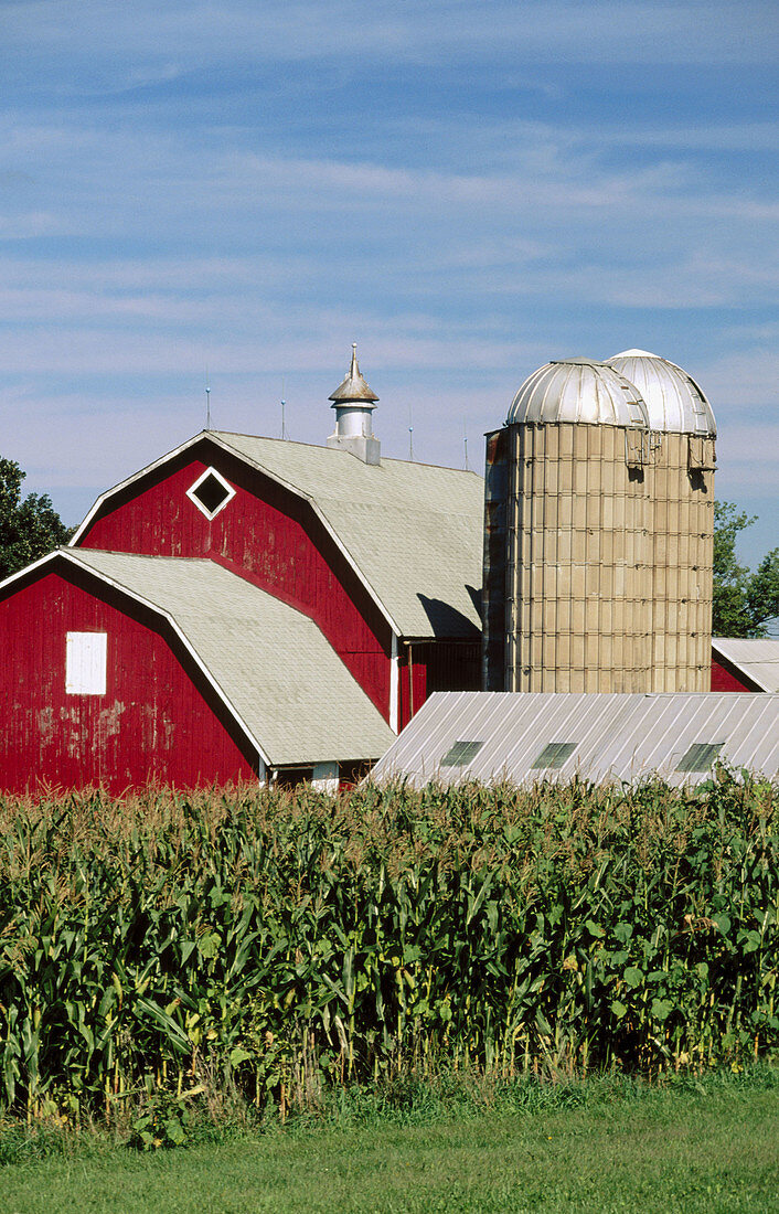 Barn and silo. Eastman, Wisconsin. USA.