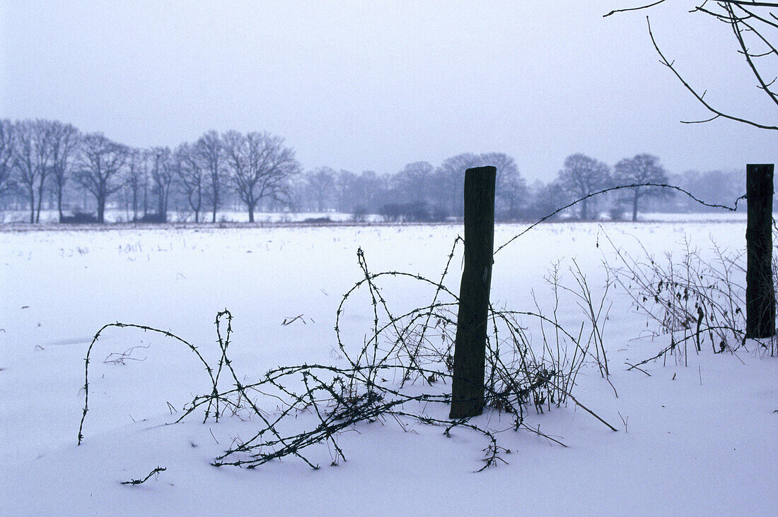  Agriculture, Barbed wire, Boundaries, Boundary, Broken, Cold, Coldness, Color, Colour, Daytime, Deserted, Dilapidate, Dilapidated, Europe, Exterior, Farm, Farming, Farms, Fence, Fences, Germany, Hamburg, Horizontal, Landscape, Landscapes, Nature, Nobody,