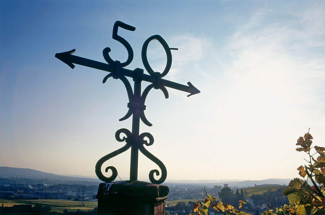 Signpost in winery Johannisberg castle, Geisenheim, Rheingau, Hesse, Germany