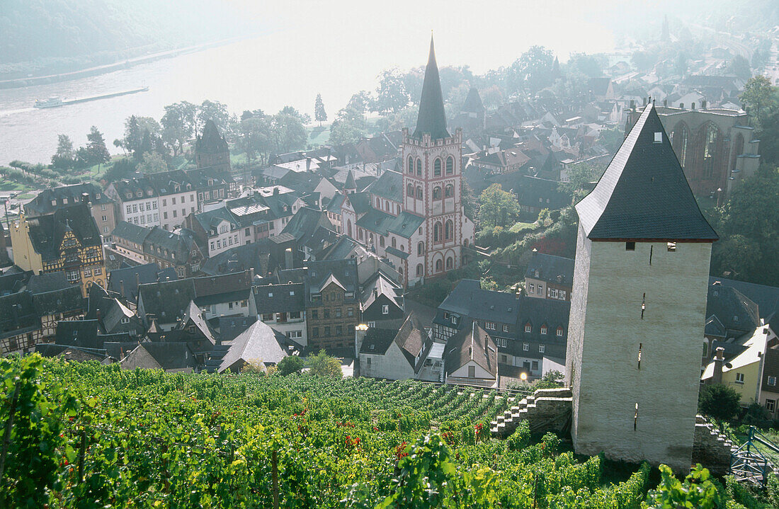 Blick von einem Weinberg auf Bacharach, Rheinland-Pfalz, Deutschland