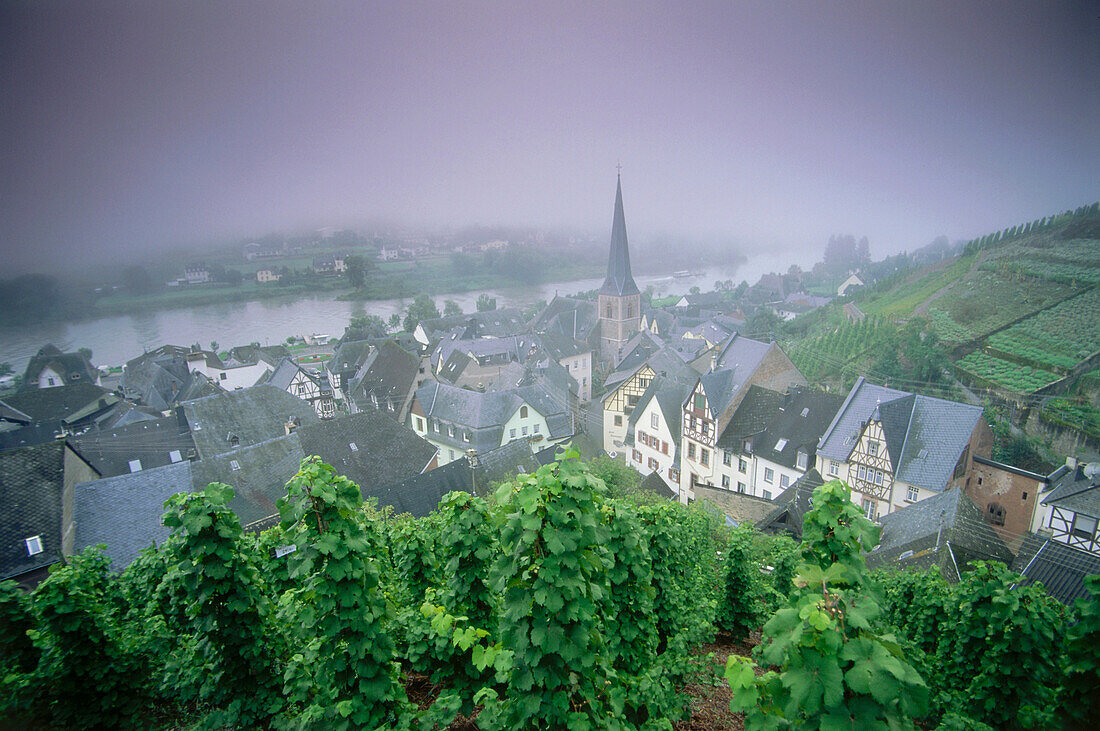 Wine village Urzig, Mosel-Saar-Ruwer, Rhineland-Palatinate, Germany