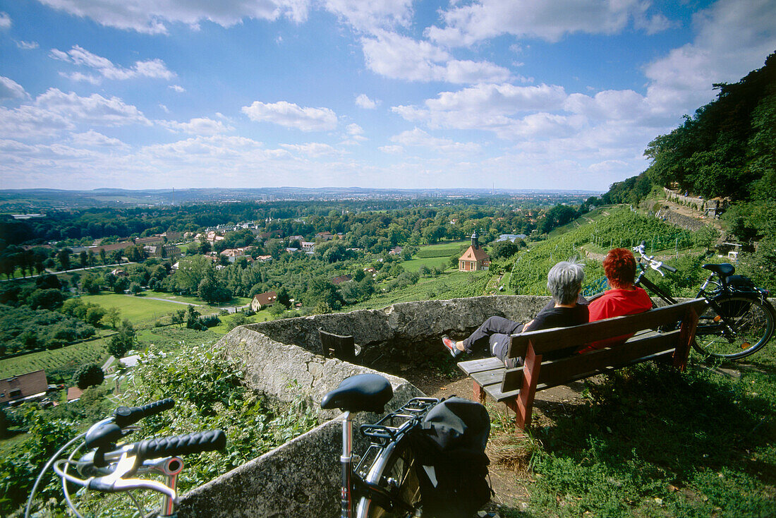 Cyclists resting at Vineyard Pillnitz Königlicher Weinberg, Dresden-Pillnitz, Saxony, Germany