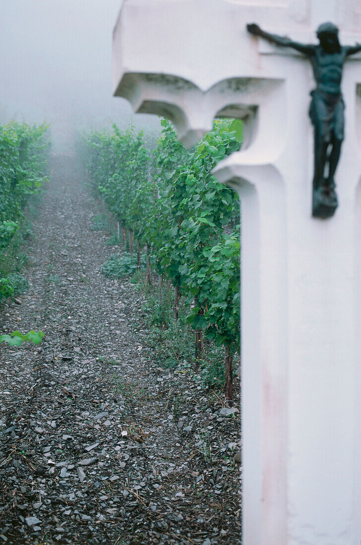 Kruzifix auf Weinberg bei Zelting-Rachting, Mosel-Saar-Ruwer, Rheinland Pfalz, Deutschland