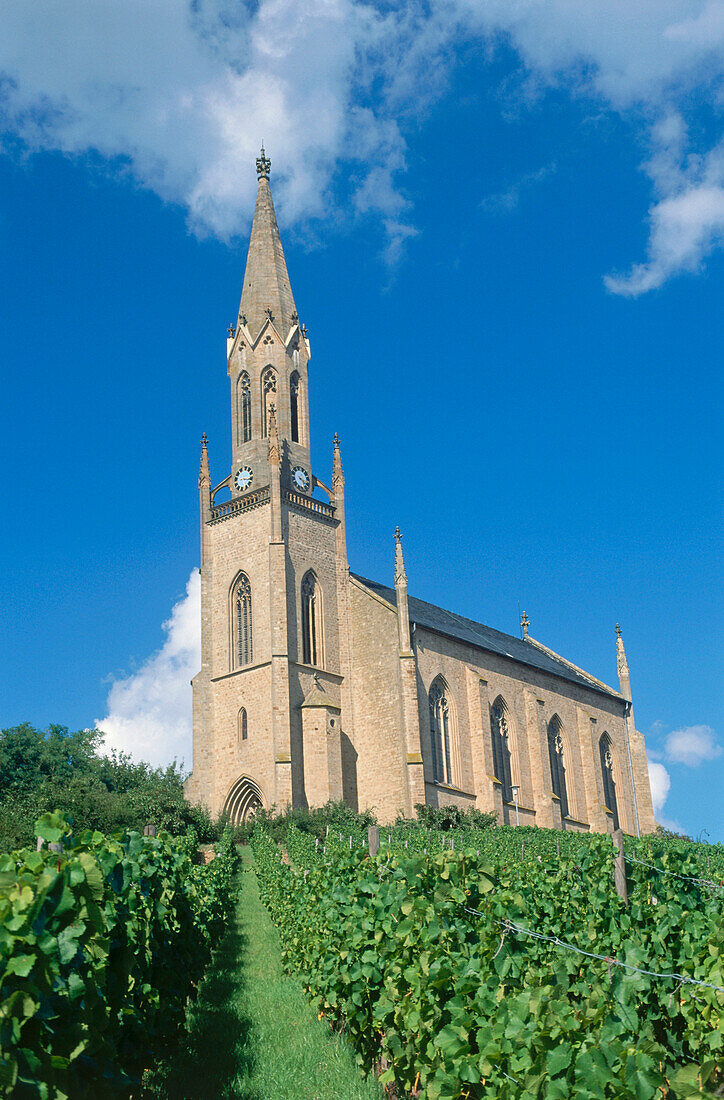 Church on vineyard, Waldbockelheim, Rhineland-Palatinate, Germany