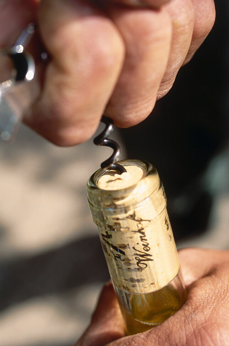 Uncorking of a bottle, Winery Herrenberg, Schoden, Saar, Mosel-Saar-Ruwer, Rhineland-Palatinate, Germany