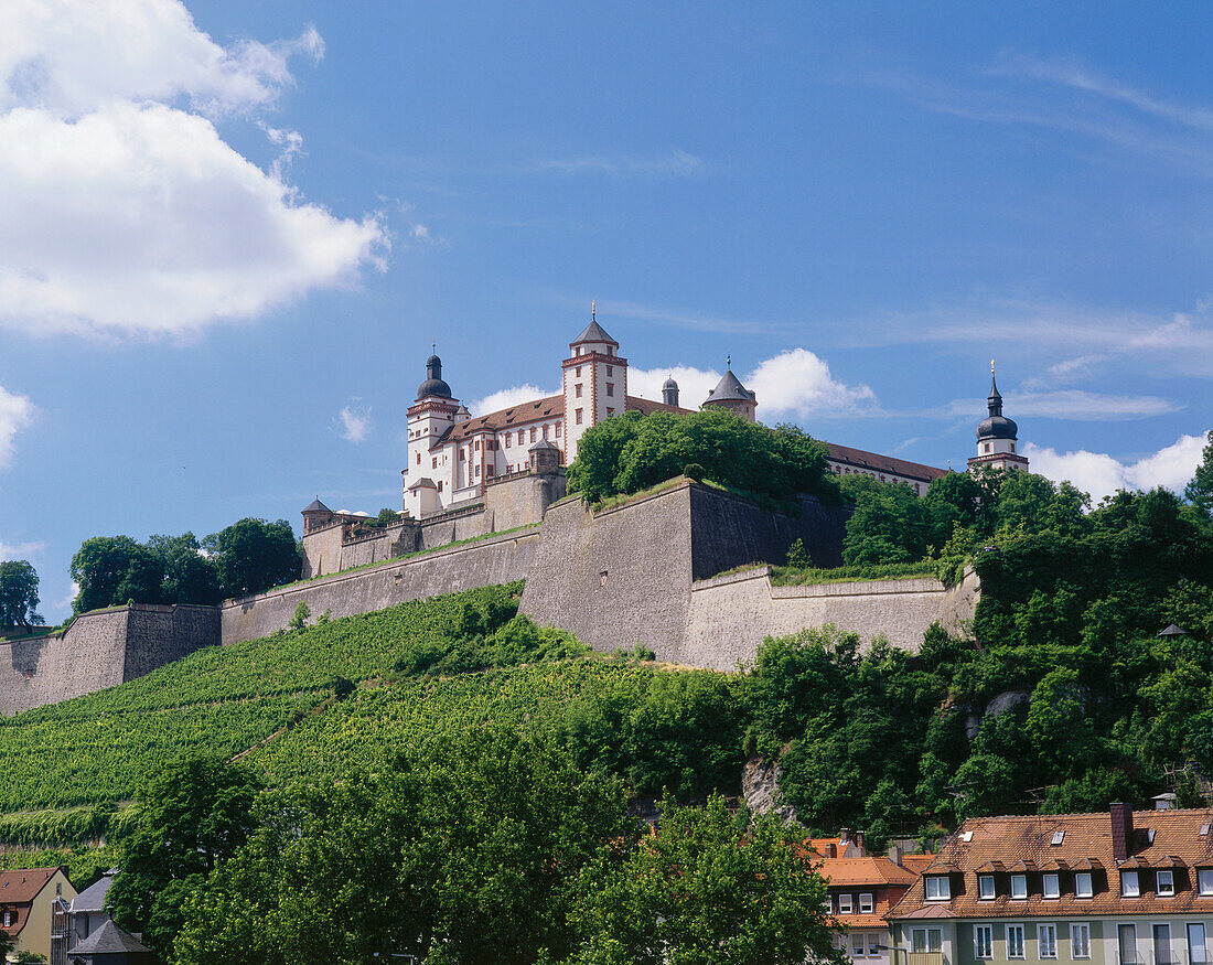 Festung Marienberg mit Weinberg Schlossberg, Würzburg, Franken, Bayern, Deutschland
