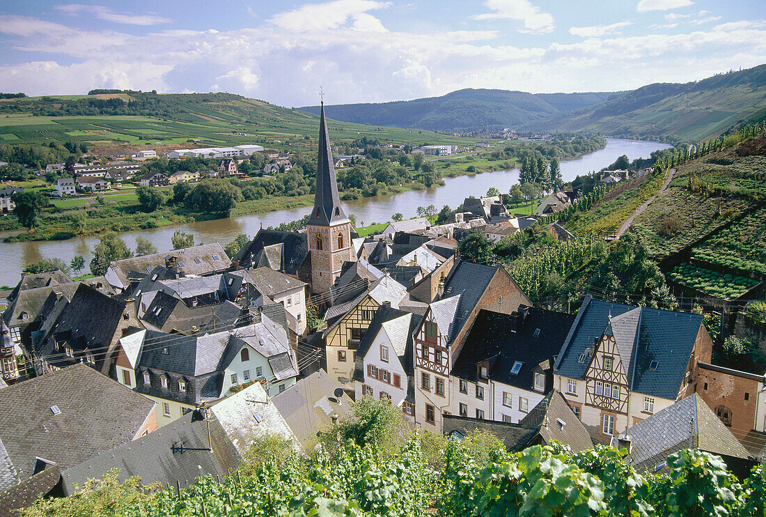 Wine village Urzig, Mosel-Saar-Ruwer, Rhineland-Palatinate, Germany