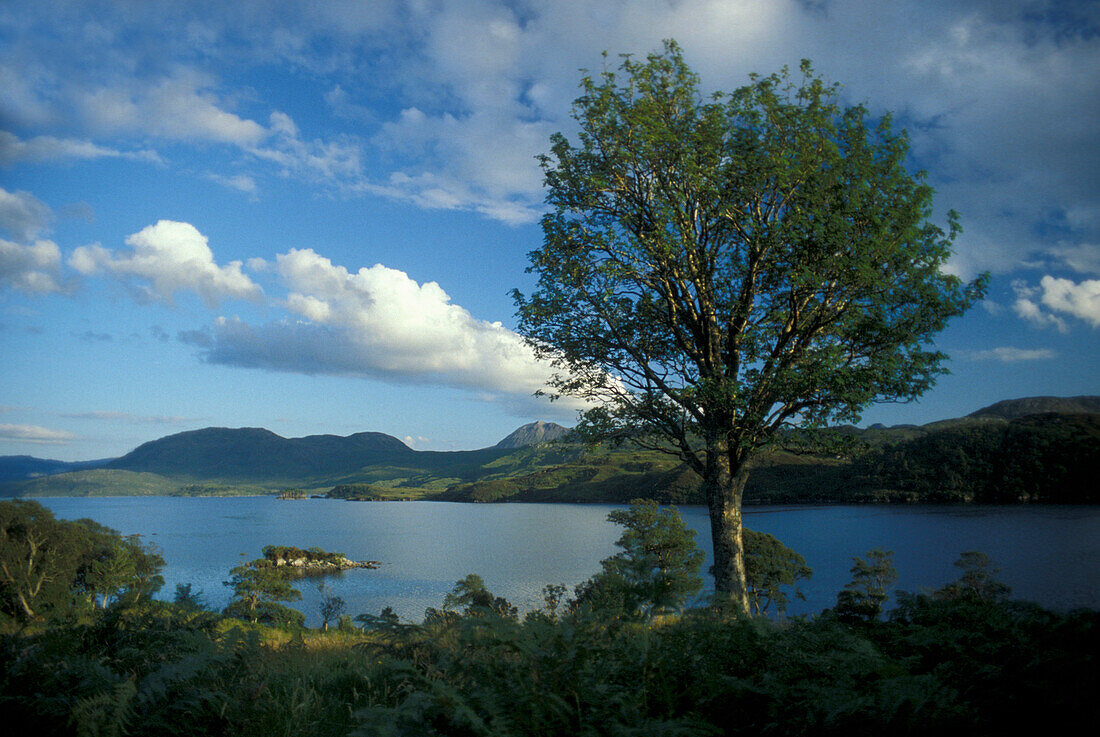 Loch Assynt, Sutherland, Schottland, Grossbritannien