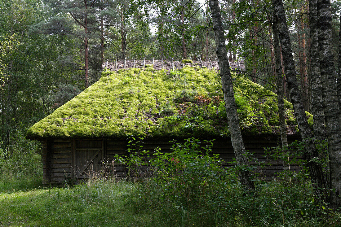 Moosbewachsene Hütte im Freilichtmuseum Rocca al Mare, Tallinn, Estland