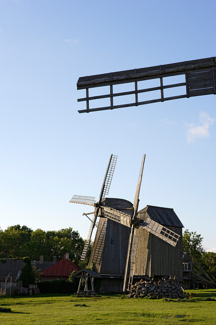 Windmills at Angla on the island Saaremaa, Estonia