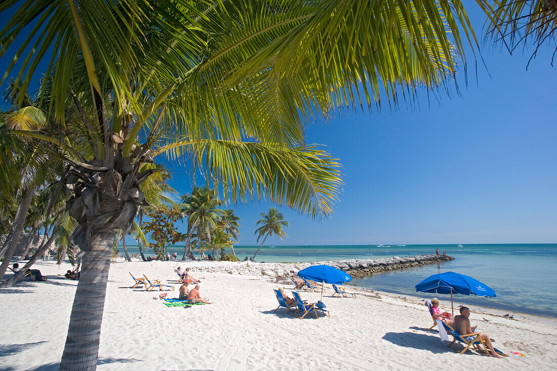 Menschen an einem Palmenstrand unter blauem Himmel, Smathers Beach, Key West, Florida Keys, Florida, USA