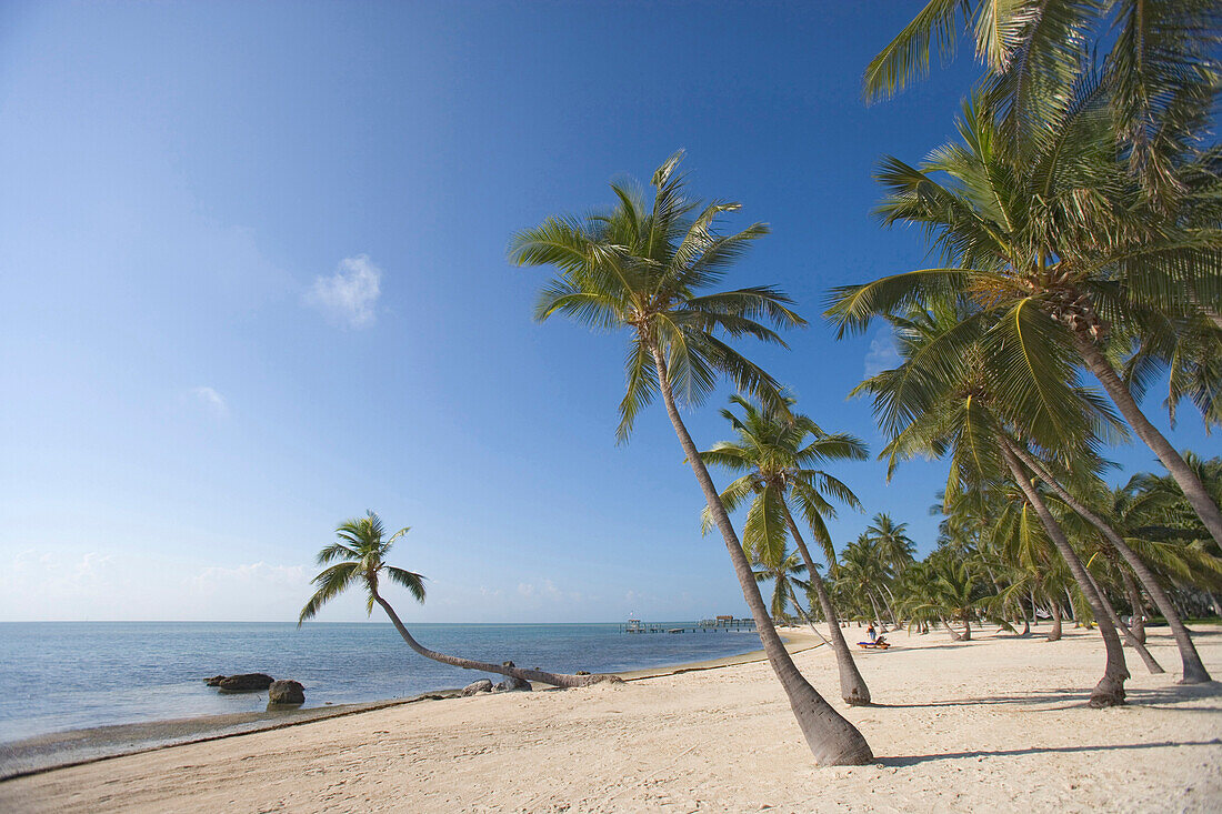 The Moorings Village (muss in BU stehen, nicht frei fuer Werbung), Islamorada, Florida, USA