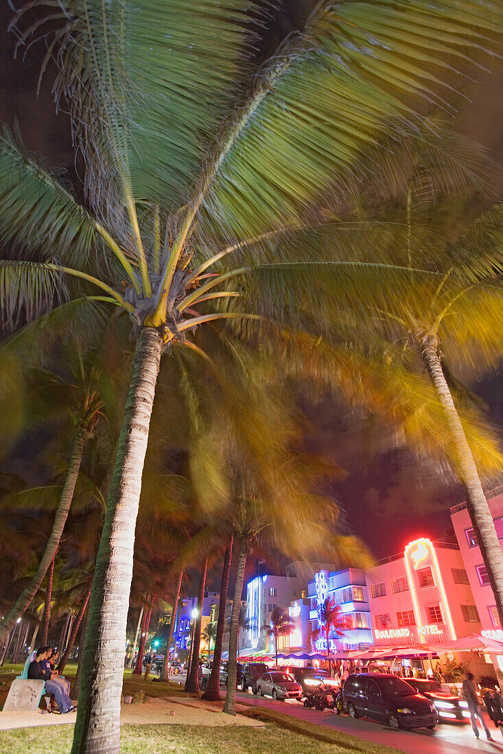 Palmen und beleuchtete Hotels am Ocean Drive bei Nacht, Art Deco District, Miami Beach, Miami, Florida, USA