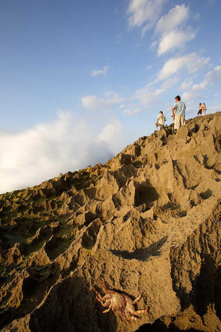 Menschen und ein Krebs klettern über Felsen, Punta Borinquen, Aguadilla, Puerto Rico, Karibik, Amerika