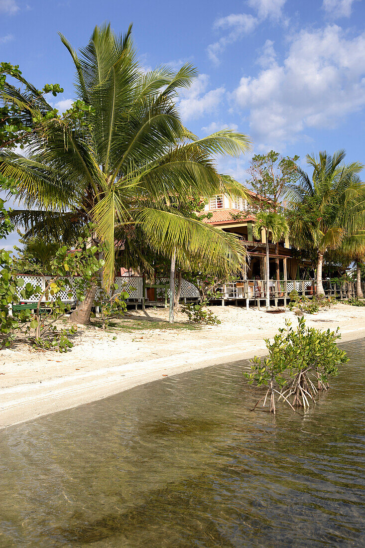Das Hotel Boquemar hinter Palmen am Strand, Cabo Rojo, Puerto Rico, Karibik, Amerika
