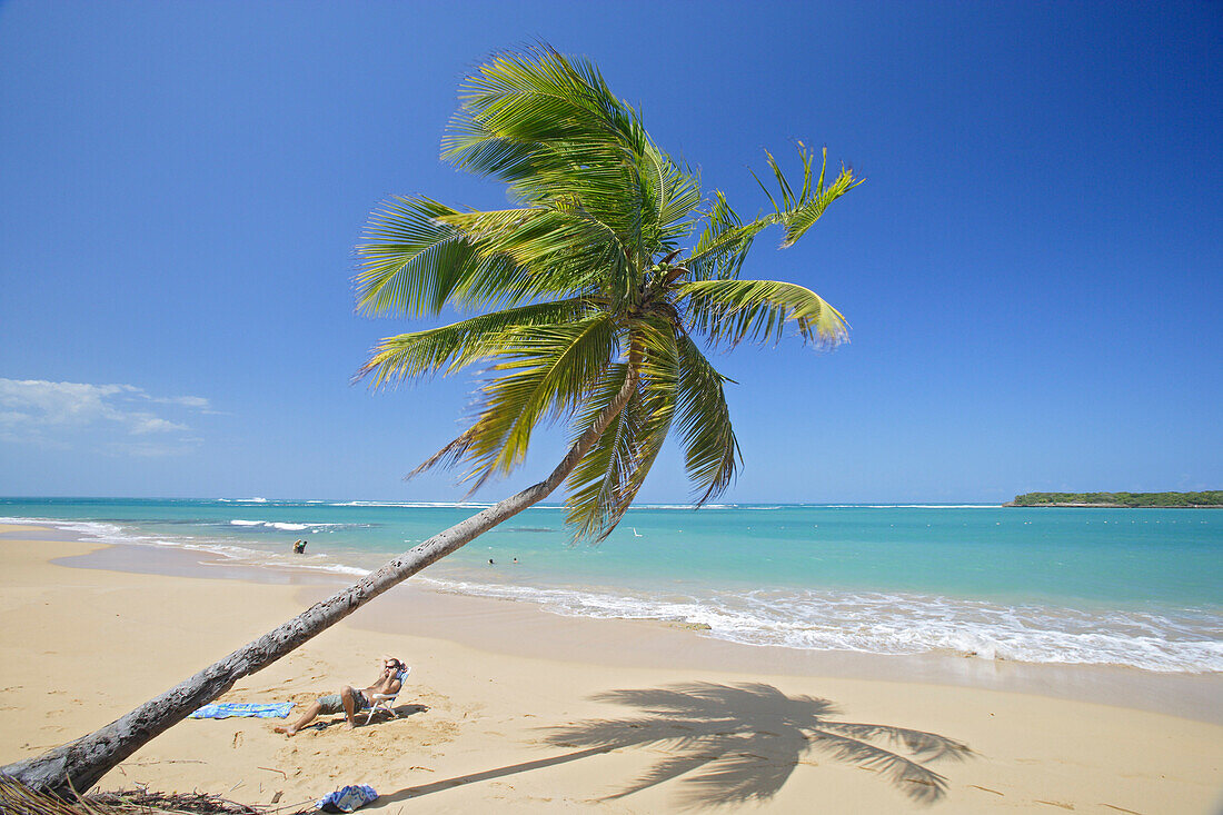 Mann und Palme am Tres Palmitas Strand unter blauem Himmel, Puerto Rico, Karibik, Amerika