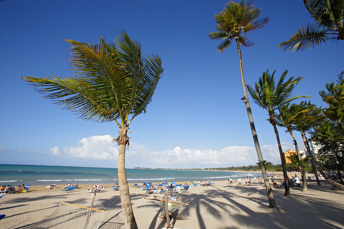 Menschen und Palmen am Strand unter blauem Himmel, Isla Verde, Puerto Rico, Karibik, Amerika